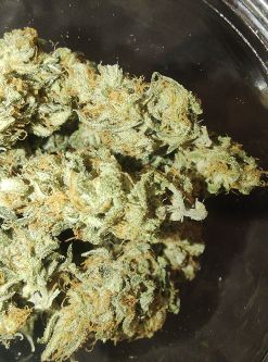 Review photo #2