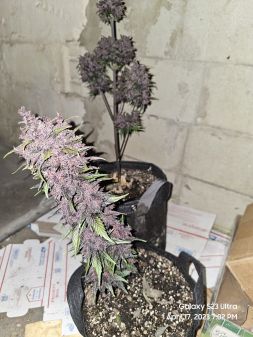 Review photo #2
