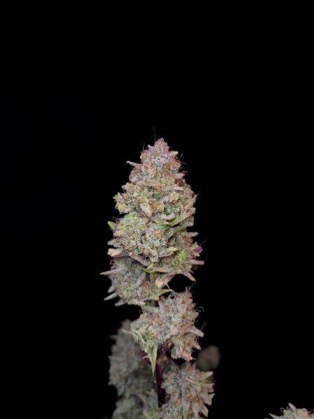 Review photo #5
