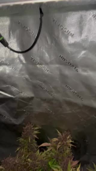 Review photo #4
