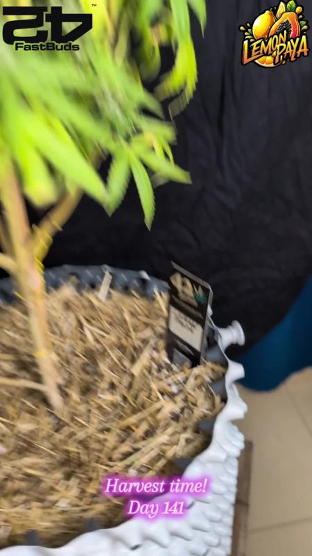 Review photo #15