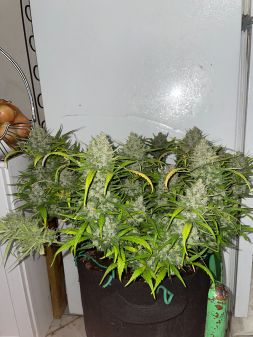 Review photo #1