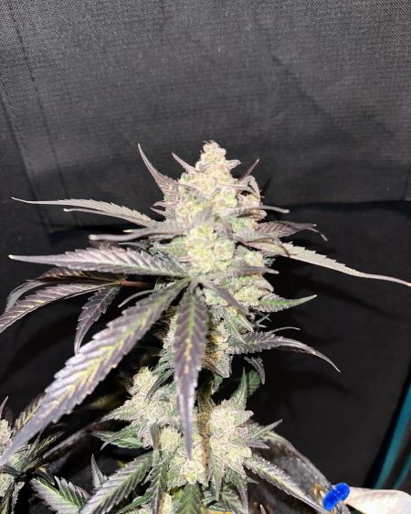 Review photo #2