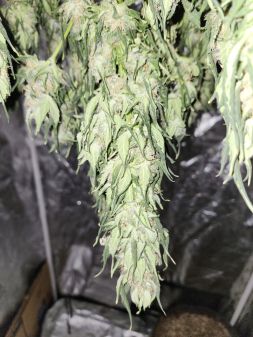 Review photo #3