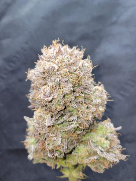 Review photo #3