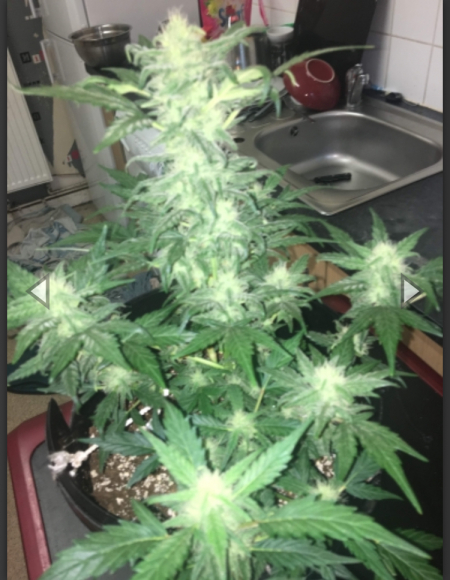 Review photo #2