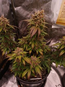 Review photo #1
