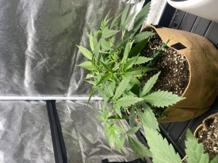 Review photo #3