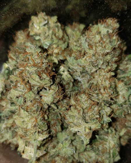 Review photo #1