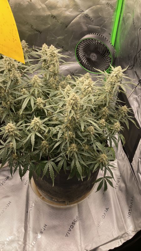 Review photo #4