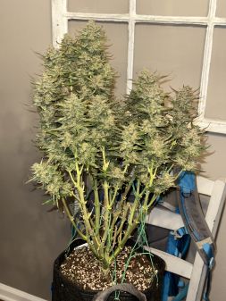 Review photo #2