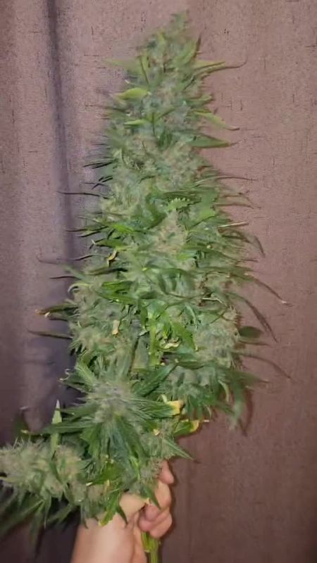 Review photo #4