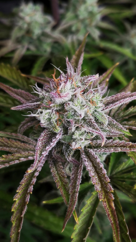 Review photo #5