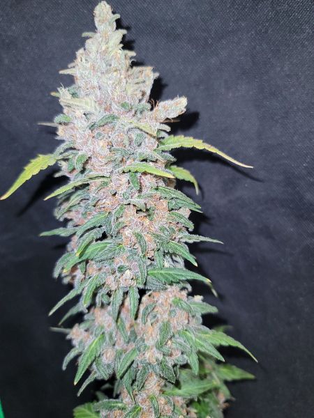 Review photo #1