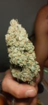 Review photo #5