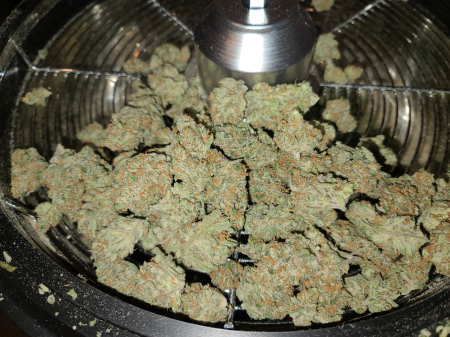 Review photo #2