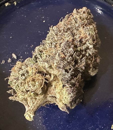 Review photo #3