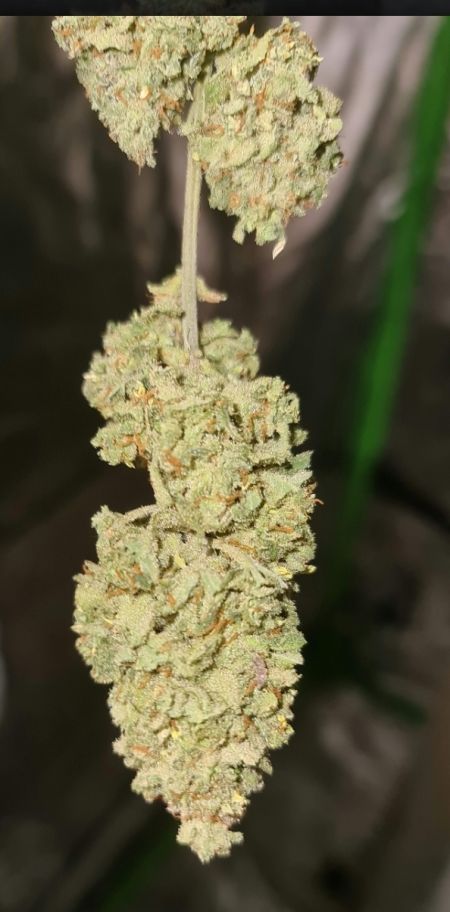 Review photo #1