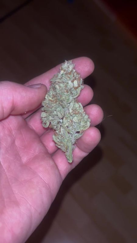 Review photo #1