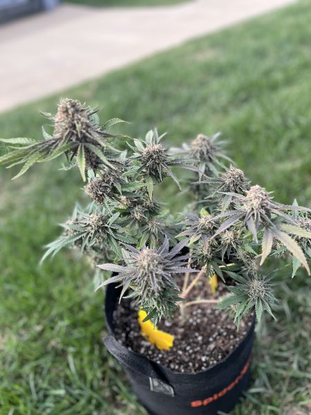 Review photo #3