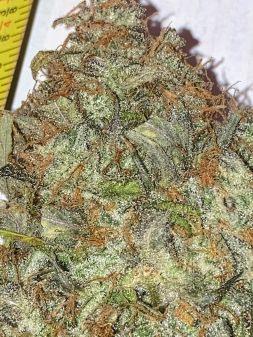 Review photo #5