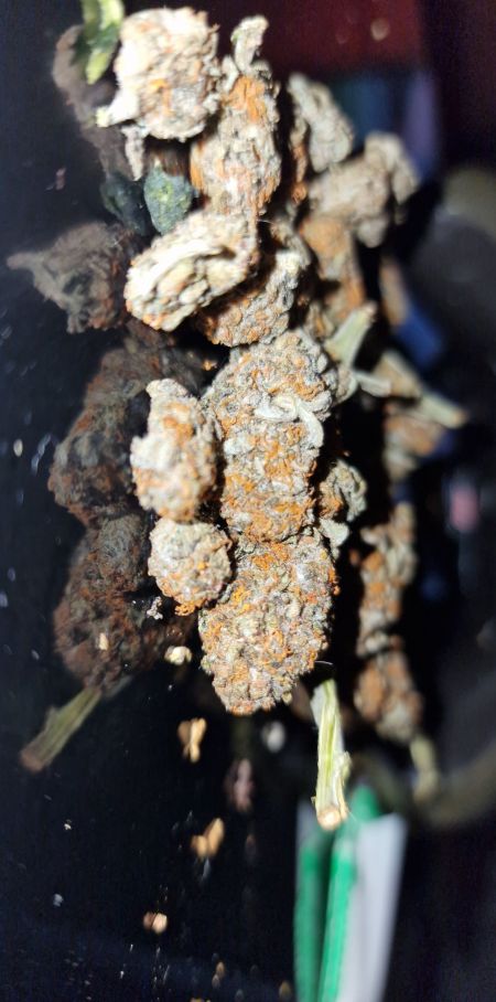 Review photo #2