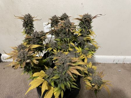 Review photo #2