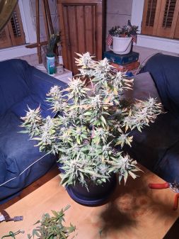 Review photo #2