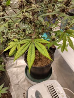 Review photo #5