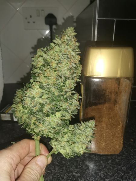 Review photo #2