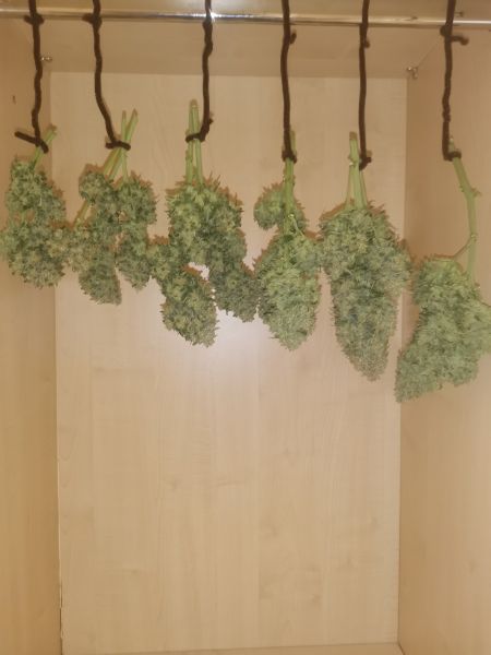 Review photo #3
