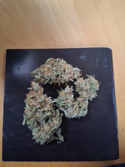Review photo #1