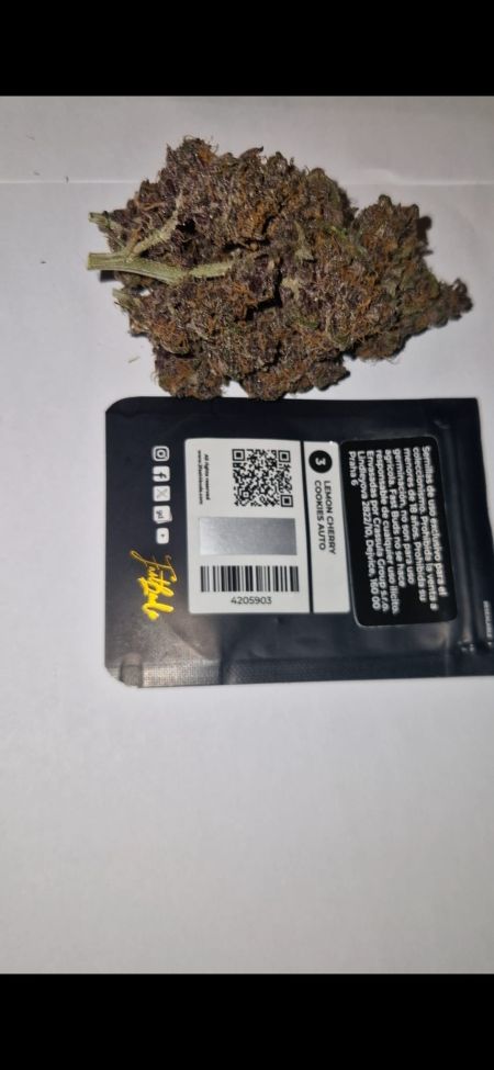 Review photo #10