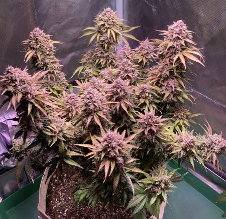 Review photo #9