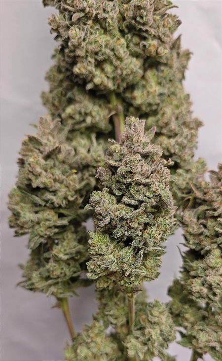 Review photo #7