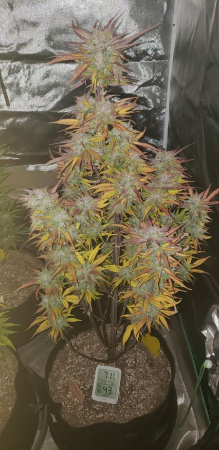 Review photo #3