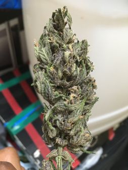 Review photo #2