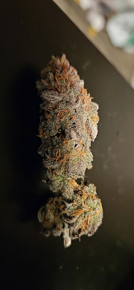 Review photo #6