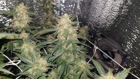 Review photo #3
