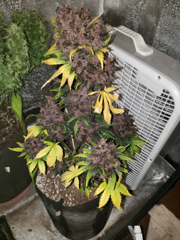 Review photo #3