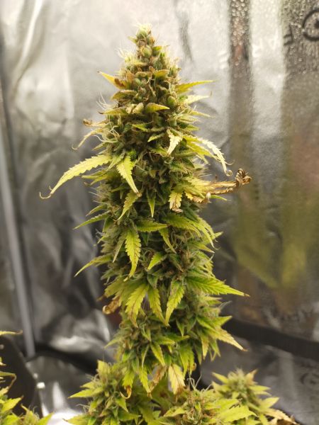 Review photo #2