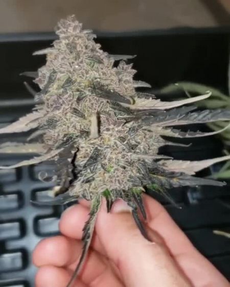 Review photo #1