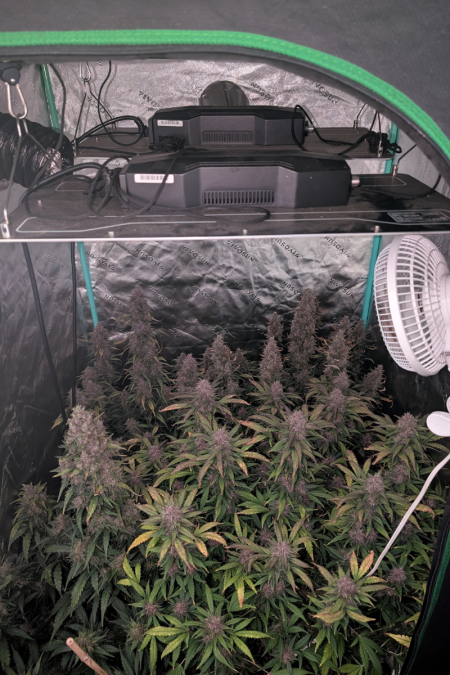 Review photo #5