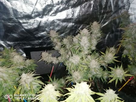 Review photo #3