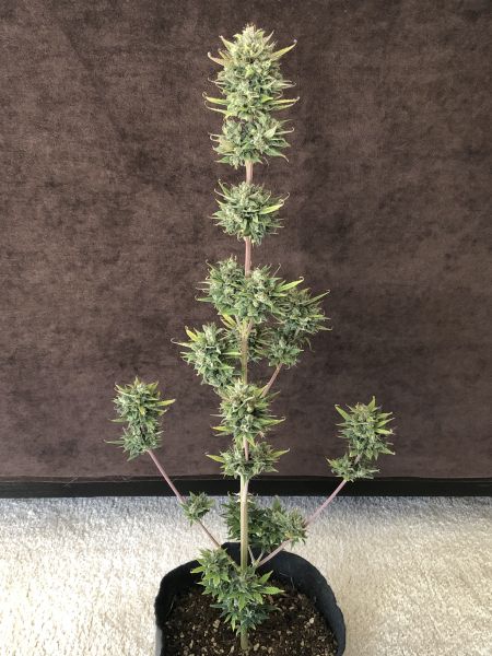 Review photo #4
