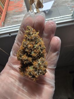 Review photo #9