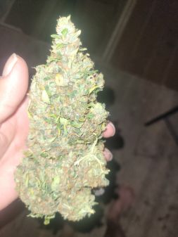 Review photo #5