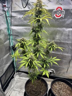Review photo #5