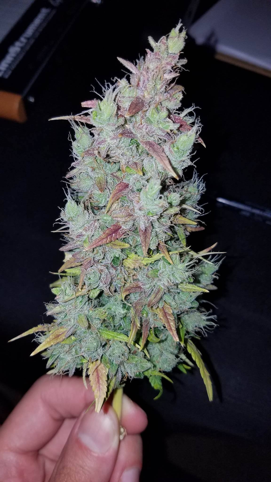 Review photo #3