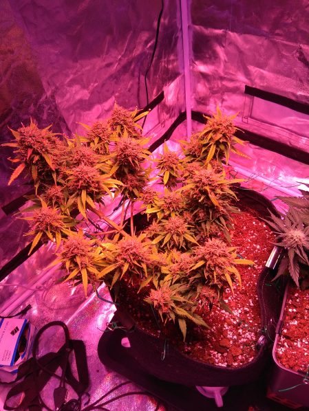 Review photo #2